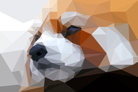 Red Panda Art- Vector Art