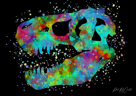 T-Rex Colour Skull - Vector Art