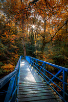 The Blue Bridge | Roe Valley Country Park