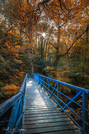 The Blue Bridge | Roe Valley Country Park