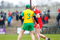 Derry VS Donegal - National Hurling League