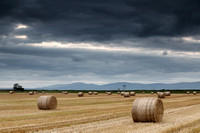 Straw Bales | Ballykelly | Station Road