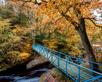 a blue metal bridge in the "Roe Valley Country Park" crossing the "River Roe" in Limavady during autumn.